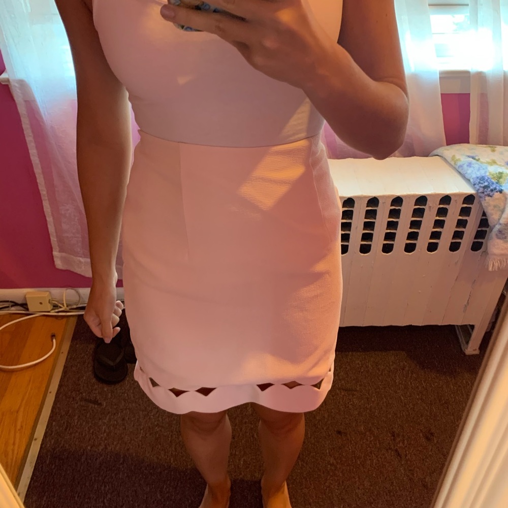 Club Monaco skirt - blush pink